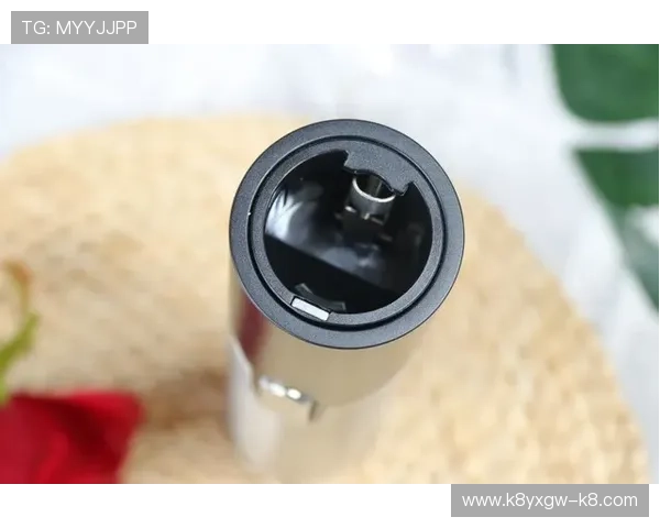 凯发ag官方入口不断优化平台确保每位玩家都能畅快体验玩法