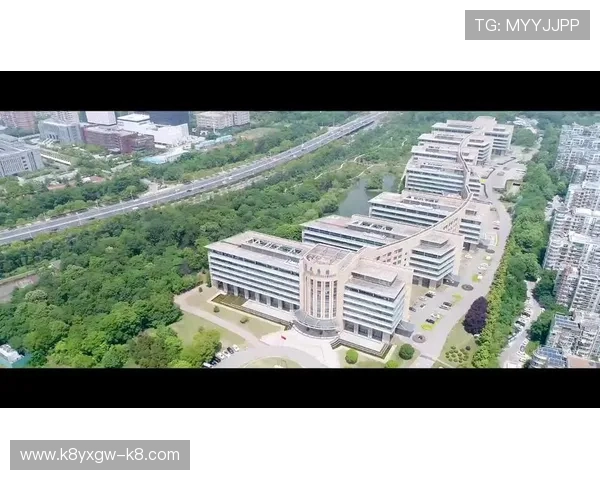 凯发·k8官网：专业的技术支持与稳定的游戏平台，确保每一次游戏顺畅无忧