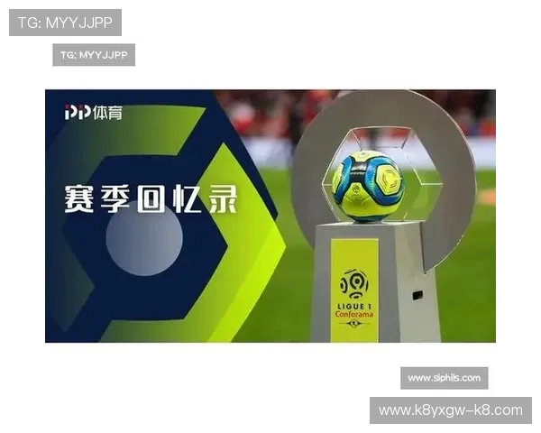 乐动ld体育：多元化体育项目覆盖满足不同用户的运动娱乐需求