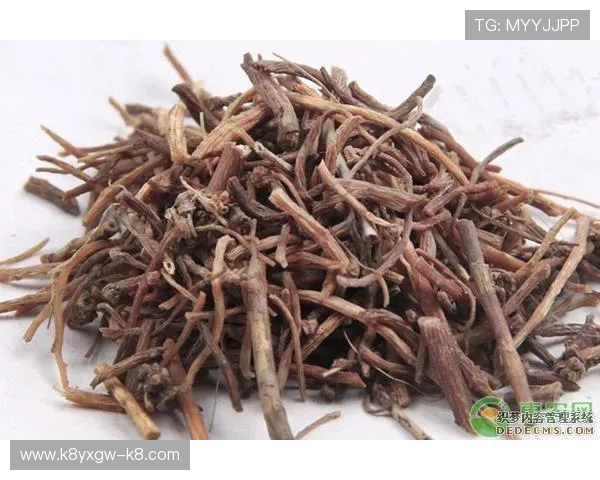 凯发直播官方首页下载入口，快速安装确保无缝连接优质直播资源