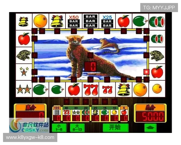 凯发PS老虎机游戏规则详解让新手快速理解玩法技巧轻松上手赢取大奖